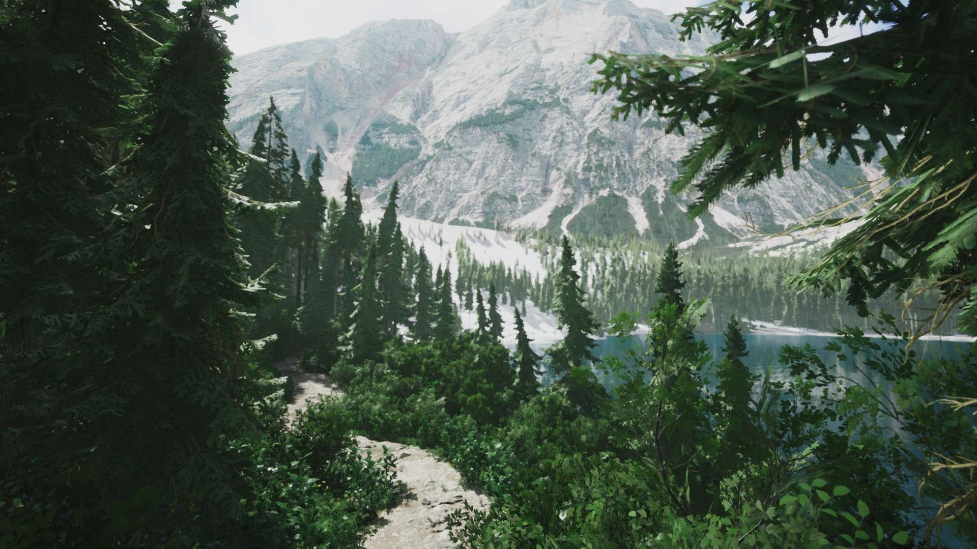 模拟美景摄影/Lushfoil Photography Sim