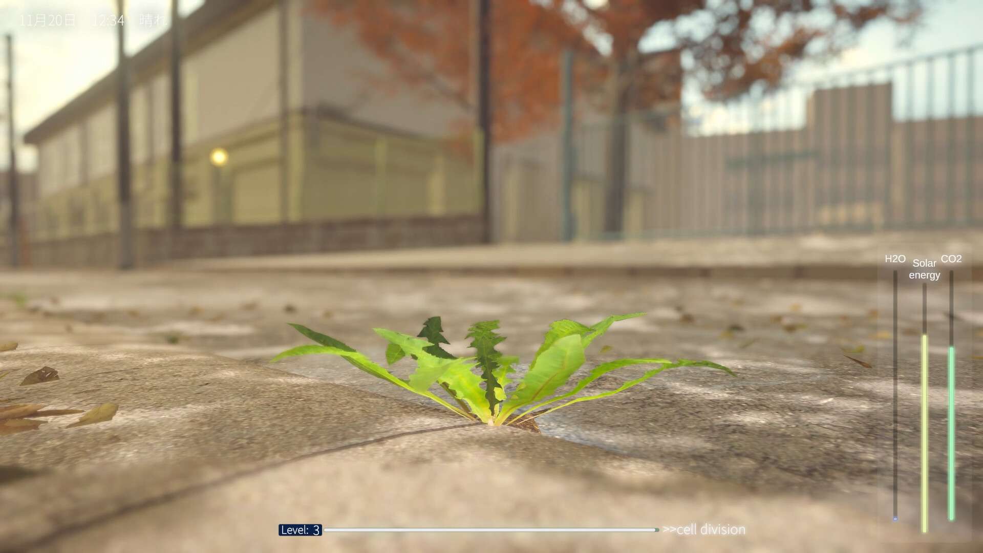 蒲公英不屈。/The Dandelion Endures.